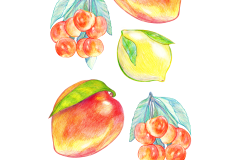 fruit-paper-1
